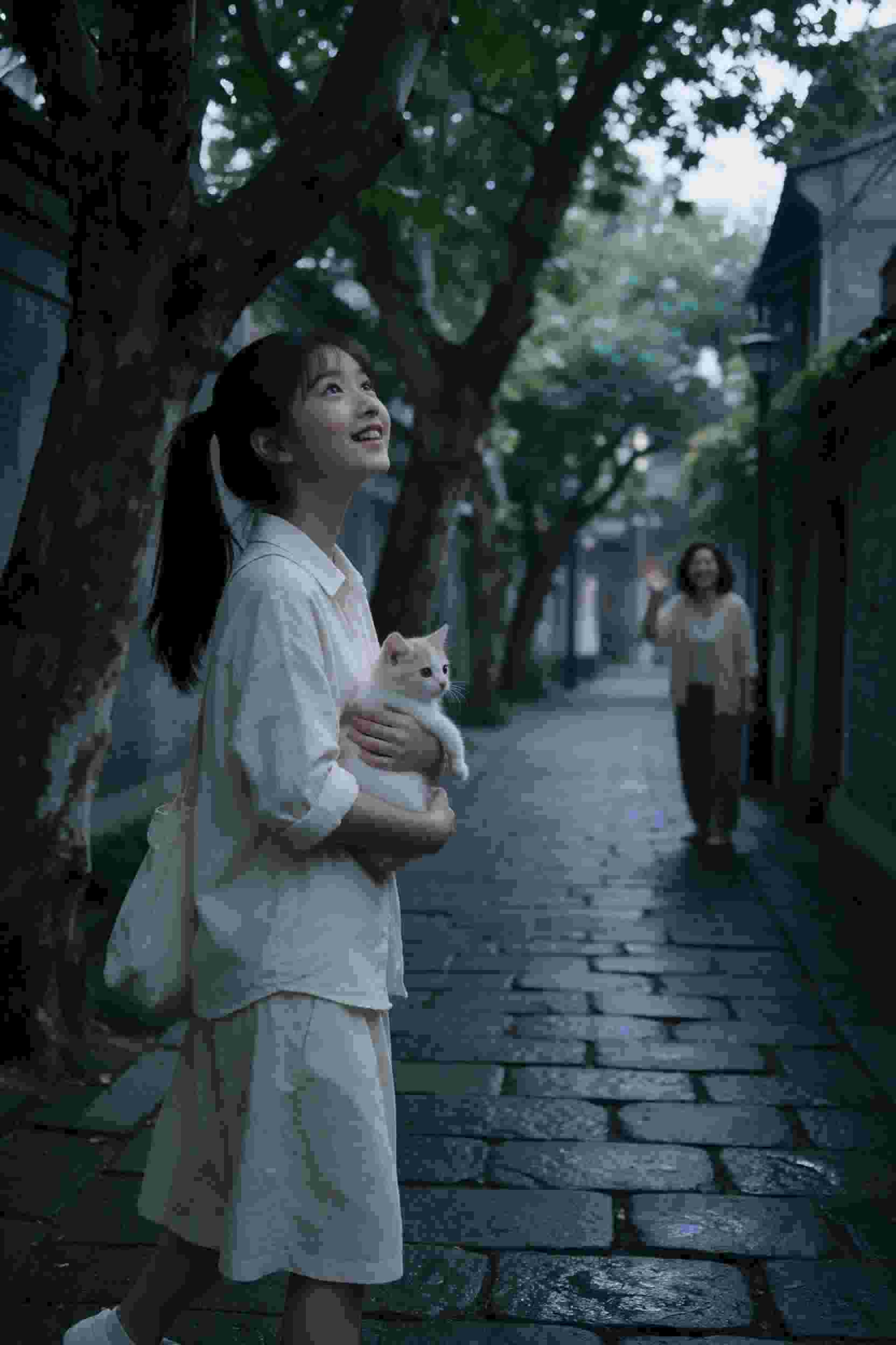 精灵秘境